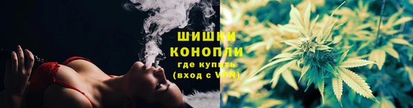 ГАЛЛЮЦИНОГЕННЫЕ ГРИБЫ Приозерск