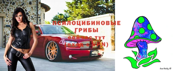 стафф Абаза