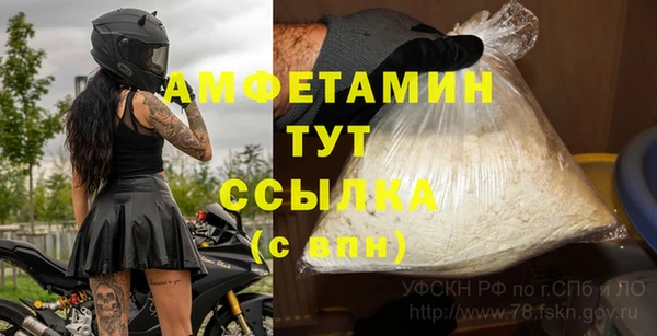 стафф Абаза